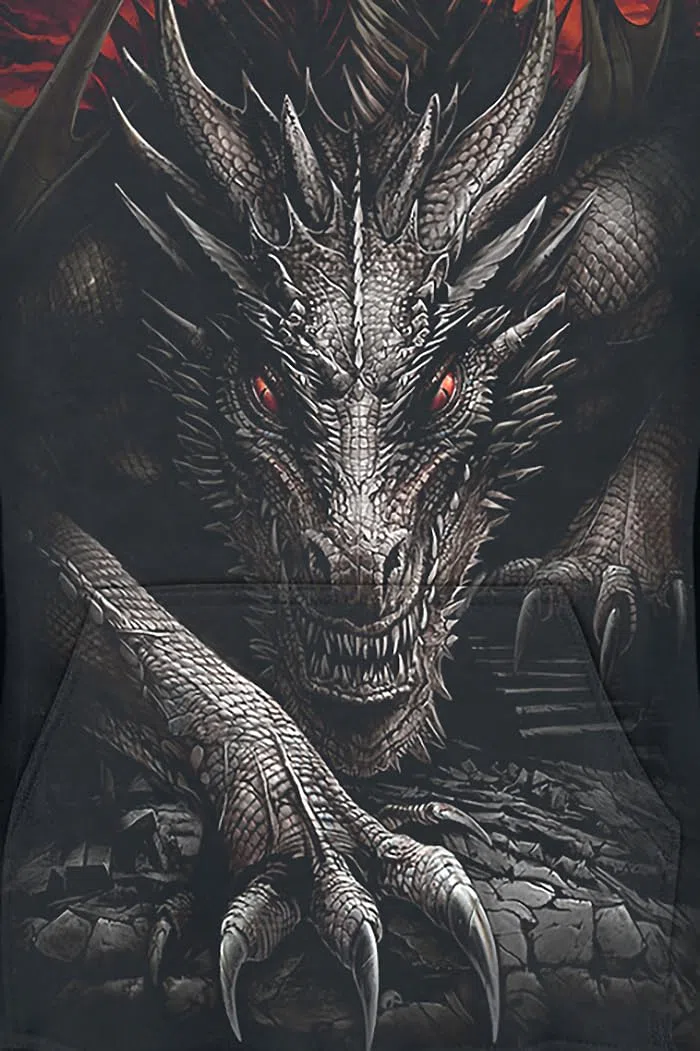 Spiral Majestic Draco Hombre Sudadera con Capucha Negro 100% algodón Regular