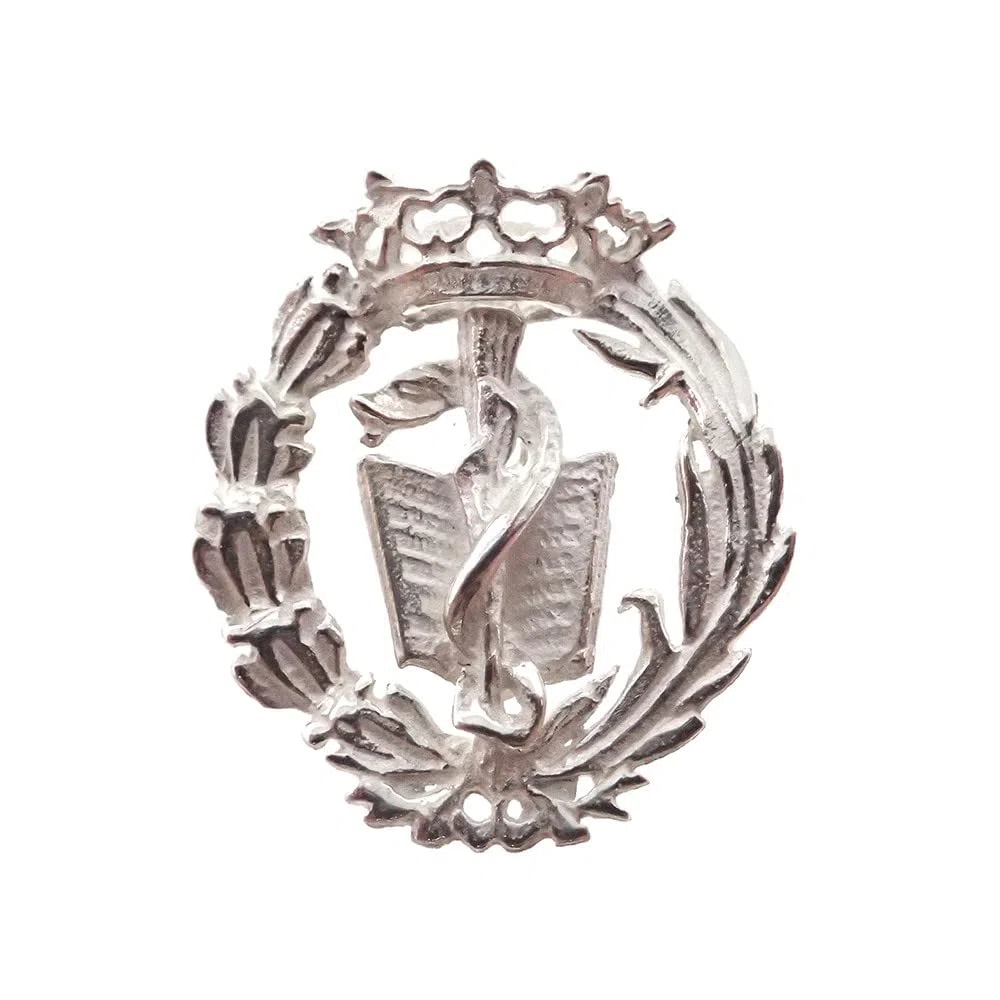 Insignia profesional Medicina escudo plata Ley 925m 19mm. pin cierre trasero latón plateado